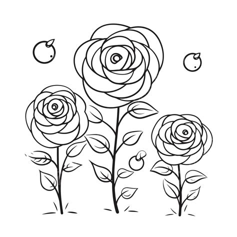 Two Roses Outline Design For Kids Ages Sketch Drawing Vector Rose