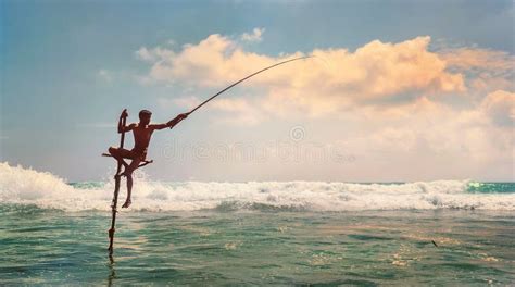 Sri Lanka Traditional Stick Method Fish Catching Fisherman In The