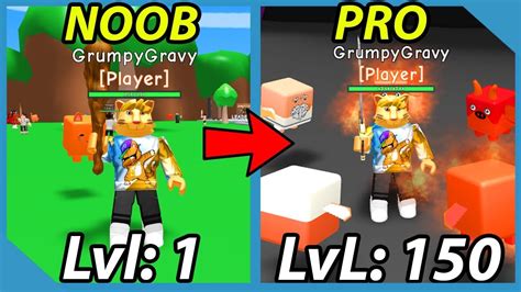 Noob To Pro Godly Trail Best Pets 1 Billion Sword Roblox Rpg