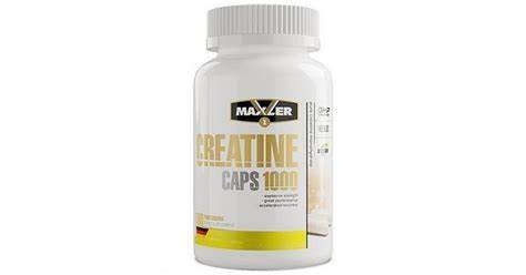 Жиросжигатели l карнитин отзывы Креатин 1000 Maxler 100 капс купить в магазине спортивного питания Креатин 1000 Maxler 100 капс купить в магазине спортивного питания Жиросжигатели l карнитин отзывы