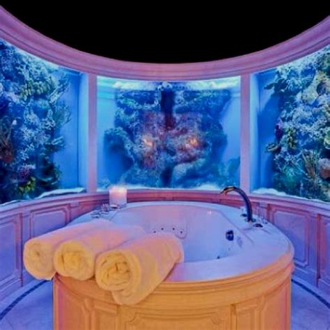 Bath Tub Surrounded By Aquariums Dream Bathrooms Home Aquarium