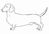Coloring Dachshund Printable Dog Dachshunds Popular Coloringhome sketch template