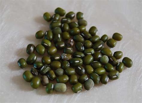 Faktor pertama adalah kebutuhan nutrisi tubuh yang kurang bisa berpengaruh bagi kesehatan rambut cara menggunakan ramuan ini adalah dengan mengoleskan secara langsung air perasan jeruk nipisnya di kulit kepala dan rambut anda. Tips Penjagaan Rambut Cara Tradisional | Masalah Rambut ...