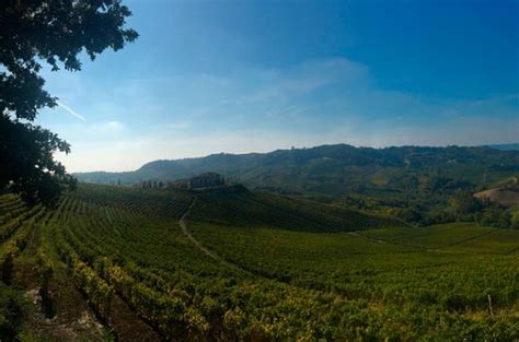 Wine Trails Eight Piedmont Wineries To Visit Decanter