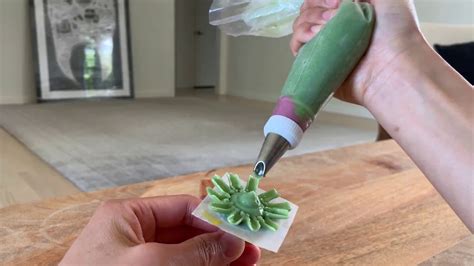 Piping Buttercream Succulents Youtube