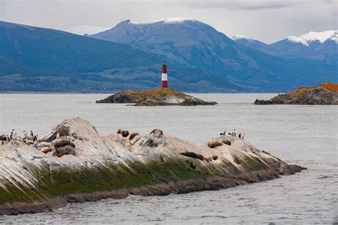 Premium Photo Les Eclaireurs Lighthouse Tierra Del Fuego Argentina