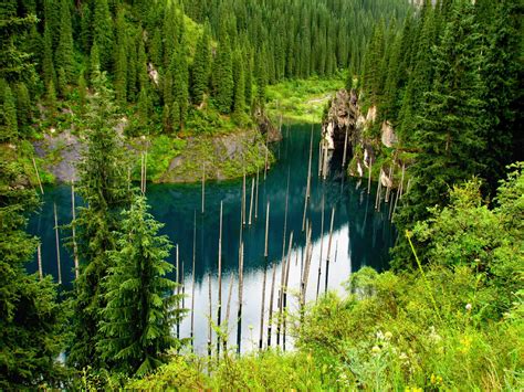 The Amazing Sunken Forest Of Lake Kaindy