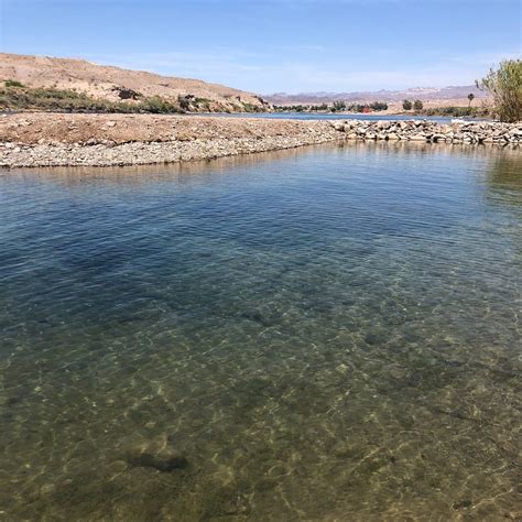 Colorado River Oasis Updated 2021 Campground Reviews Bullhead City