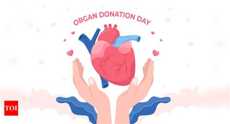 World Organ Donation Day All You Need To Know About Liver