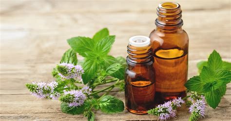 I've already mentioned the many health benefits of peppermint oil and in this article i want to specifically discuss how to use it to promote hair growth. Benefits of Peppermint Oil: Uses, Side Effects & Research