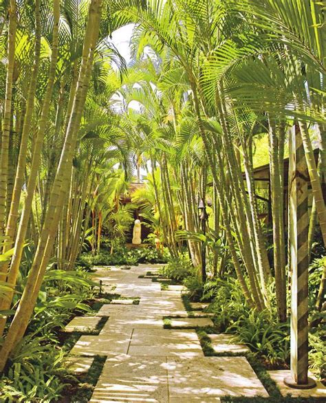 Tropical Landscape Designs That Brings Coolness To Your