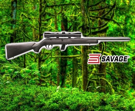 Savage Arms 22lr Model 64 Semi Automatic Rifle With Bushnell Scope