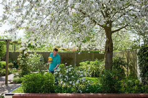 3 Ways To Add Sulfur To Your Garden This Old House