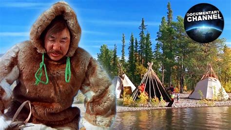 Cudowna Północ Arktyka Film Dokumentalny Przyrodniczy Lektor Pl