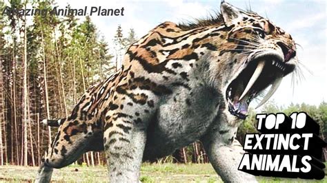 Top 10 Extinct Animals Youtube