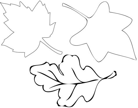 Leaf Template With Line For Writing Addictionary
