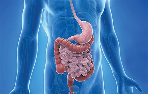 Stomach Problems Gastroenterology Medicore Network Of Trusted