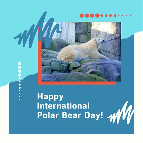 Happy International Polar Bear Day Square Template Visme