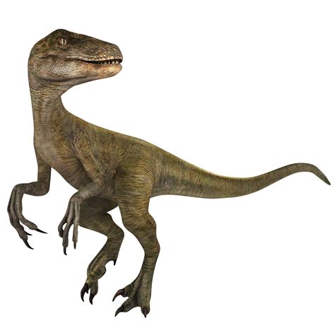 Velociraptor Jurassic World Alive Wiki Fandom