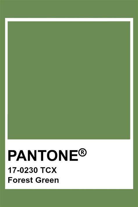 Pantone 17 0230 Tcx Forest Green Pantone Color Pantone Green