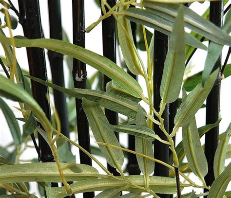 New 6ft Slim Black Stem Bamboo Artificial Bush Houseplant South
