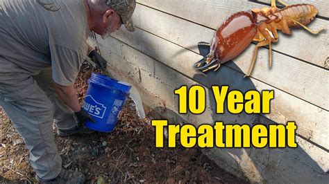 Diy Home Termite Treatment Long Lasting Youtube
