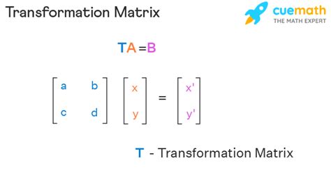 Transformation Matrix Definition Formula Applications Examples