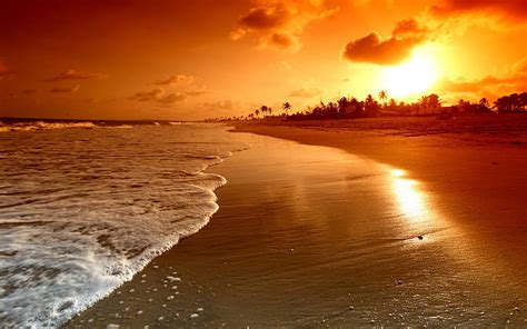 hd wallpaper sunrise palms sea beautiful nature landscape water sky clouds scene waves beach