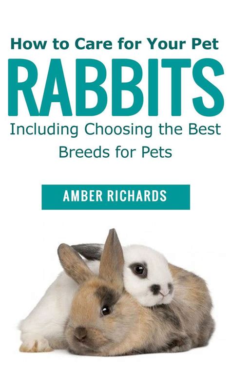 Check Out The Book How To Care For Your Pet Rabbits