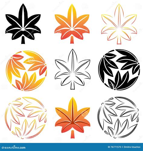 The Stylized Set Maple Leaves Japanese Symbolism Illustration Stock