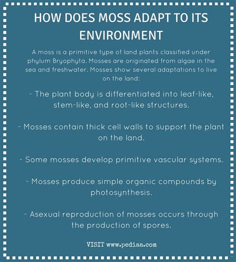How Does Moss Adapt to its Environment - Pediaa.Com