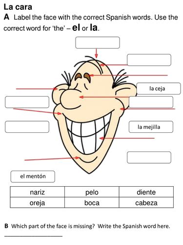 Face And Parts Of The Body Spanish Y4 Teaching Resources