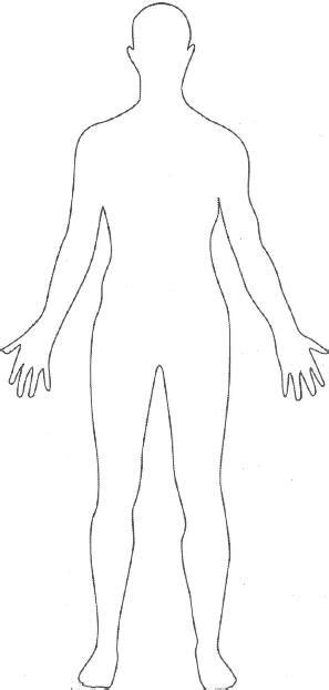 Cuerpo Que Sigue De Base Para Modelar Person Outline Body Outline