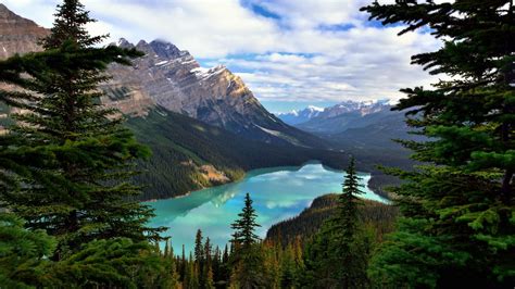 Peyto Lake In Canada Hd Wallpaper Background Image 1920x1080 Id