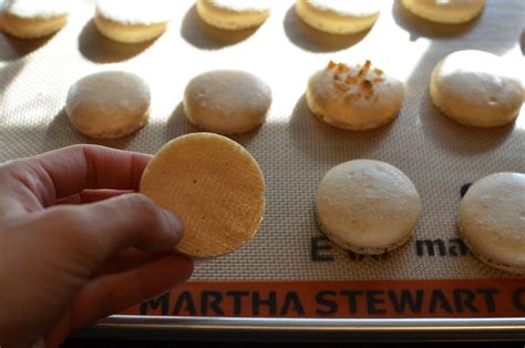 Playing With Flour Hazelnut Macarons With Gianduja Ganache