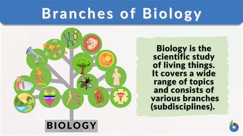 Branches Of Biology Biology Online Dictionary