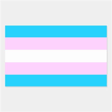 trans pride flag stickers