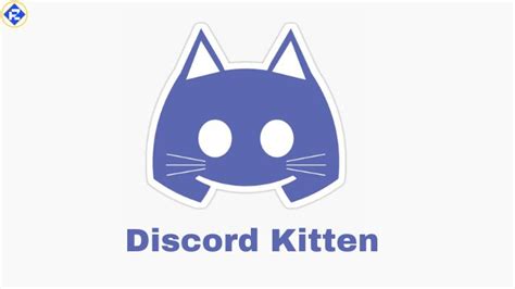 Discord Kitten All You Need To Know In 2024 Full Guide