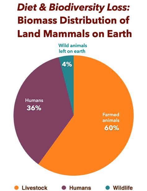 Diet Biodiversity And Biomass Pie Chart Awfw A Well Fed World