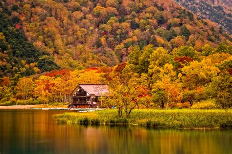 House In The Autumn Forest