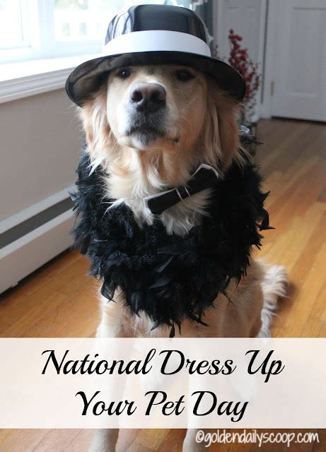 National Dress Up Your Pet Day January 14 2016
