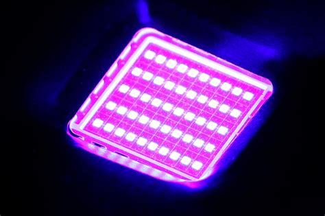 Uv Led Lights Fluorobotanicsfluorobotanics