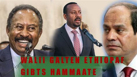 Oduu Guyyaa Hardhaa Walitti Gaarreffachuun Ethiopiaf Egipt Hammaate