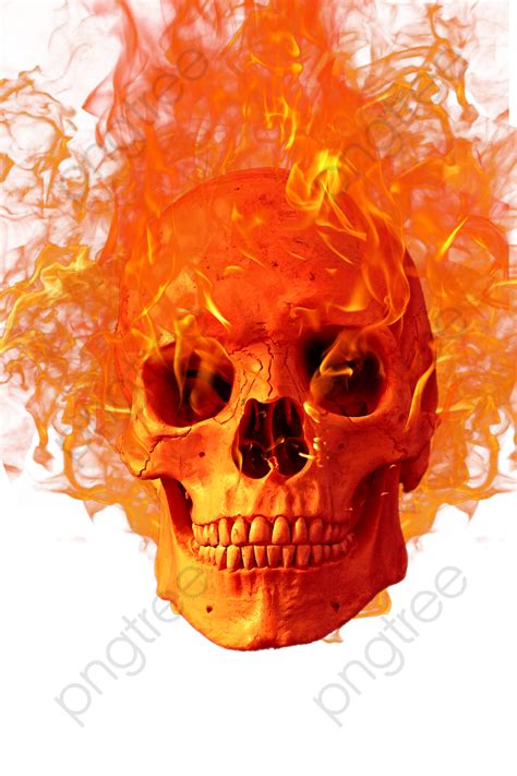 Skull Skull Illustration Skull Png Fire Icon