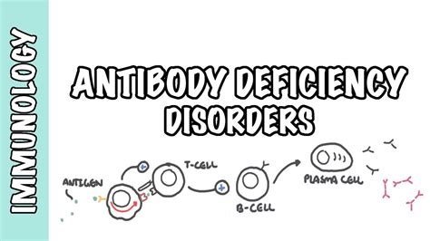 Primary Antibody Deficiency Common Variable Immunodeficiency Cvid