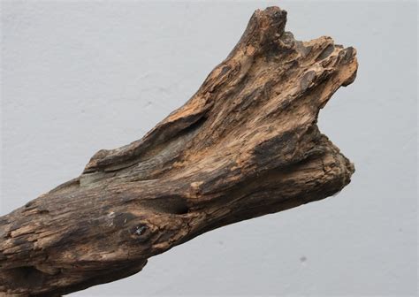 Large Driftwood Branch Unique Driftwood Piece Craft Natural Etsy