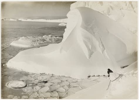 Icescapes And Wildlife Antarctica Frank Hurley Stories State