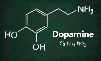 Qu est ce que la dopamine et quelles sont ses fonctions Nos Pensées