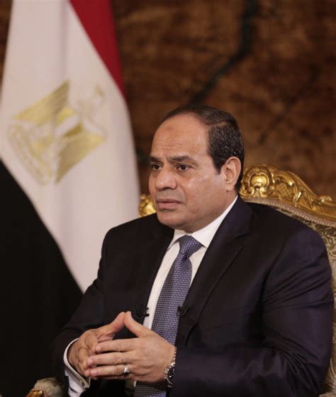 Ap Interview El Sissi Ready To Back Anti Islamic State Fight Nation World