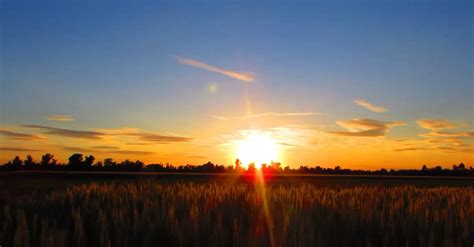 Grassland During Sunset Free Stock Video Footage Royalty Free 4k And Hd